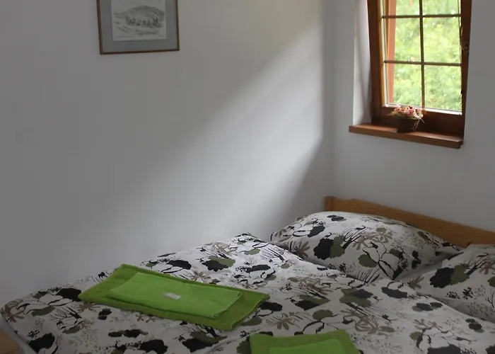 Vydrysek * Srní